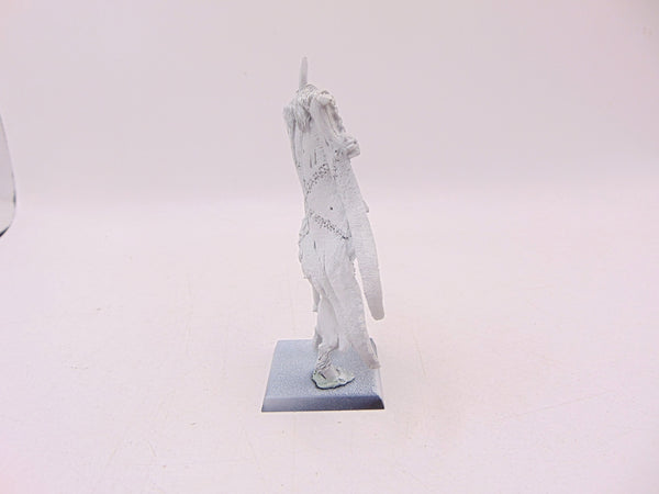 Wargor Battle Standard Bearer