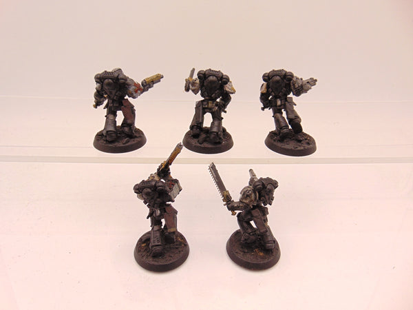 Primaris Initiates Conversion