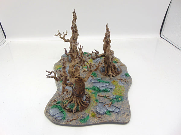 Citadel Woods
