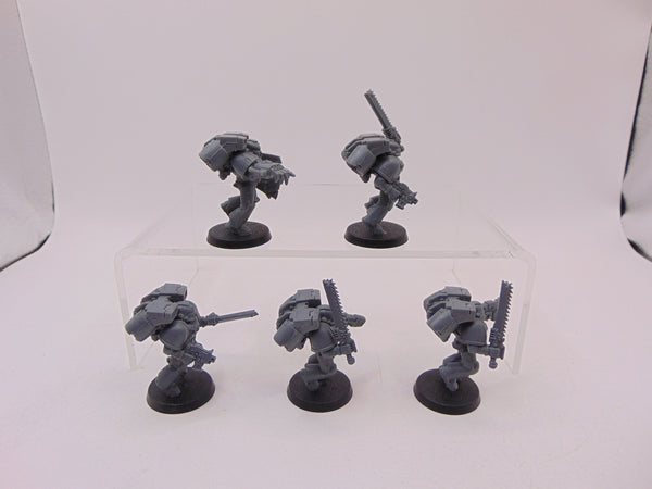 Assault Squad
