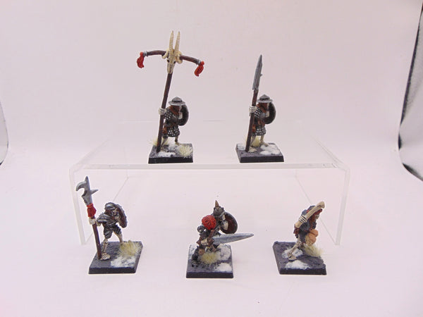 Armoured Skeleton Command