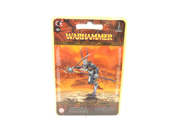 Tzeentch Sorcerer Lord / Magister