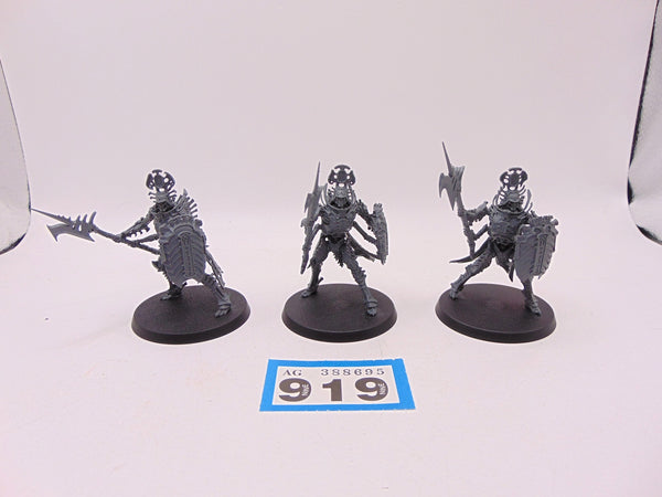 Immortis Guard