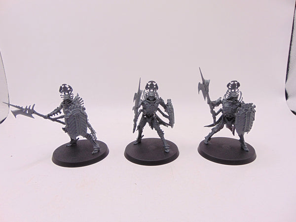 Immortis Guard