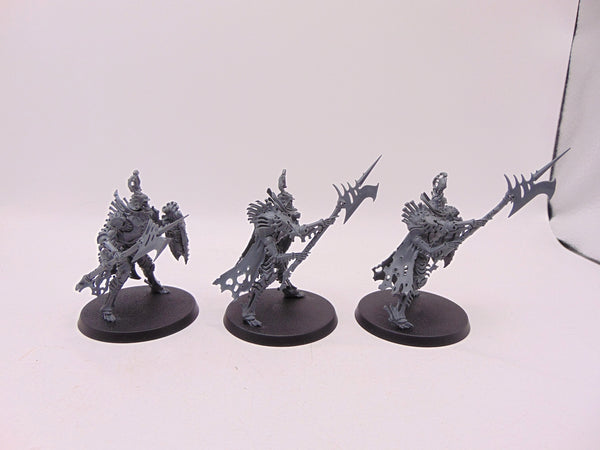 Immortis Guard