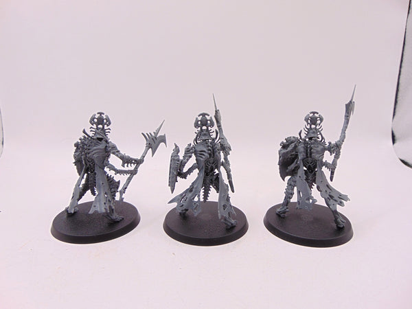 Immortis Guard