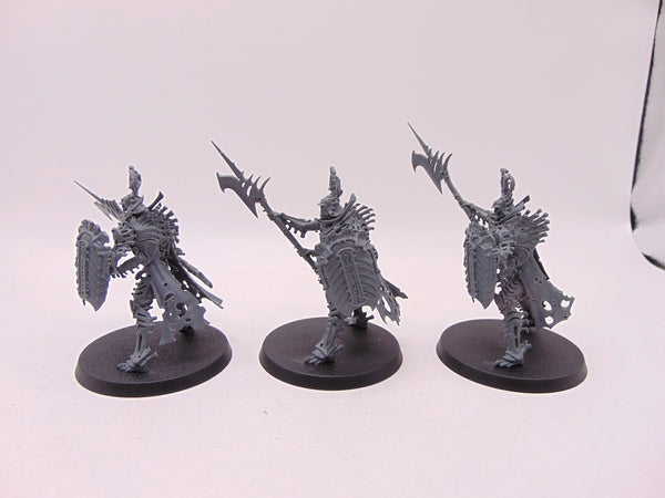 Immortis Guard