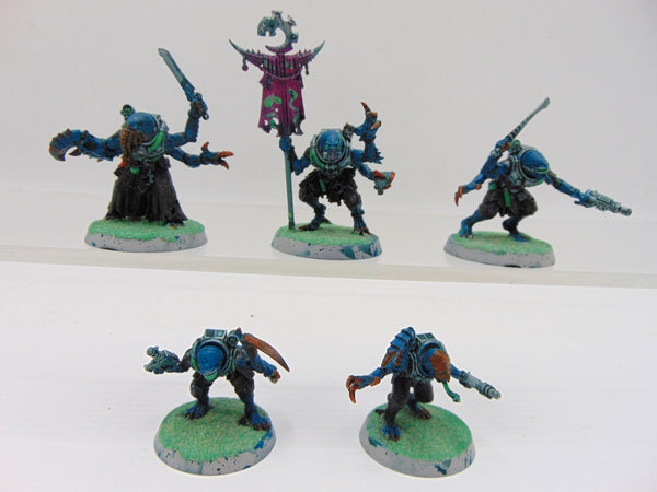 Acolyte Hybrids