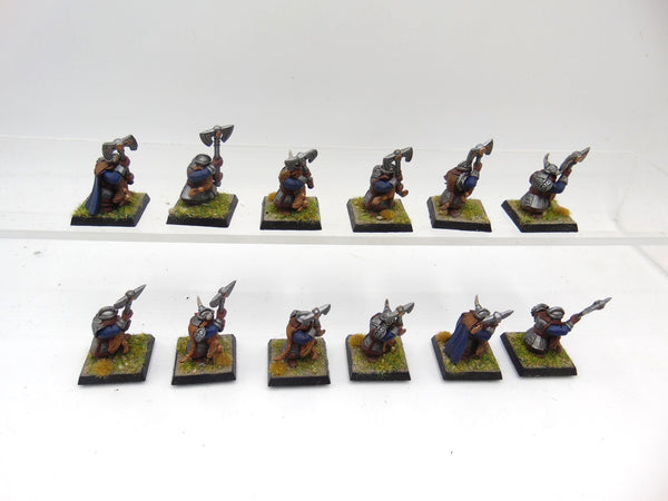 Dwarf Warriors / Longbeards