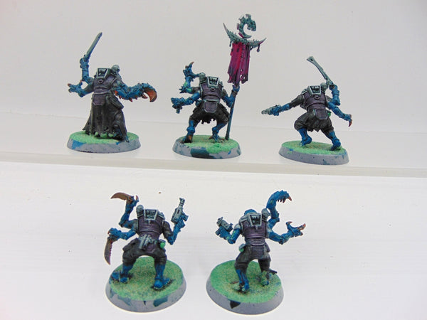 Acolyte Hybrids