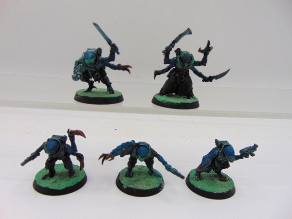 Acolyte Hybrids