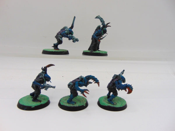 Acolyte Hybrids