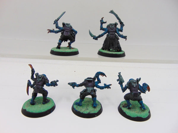 Acolyte Hybrids