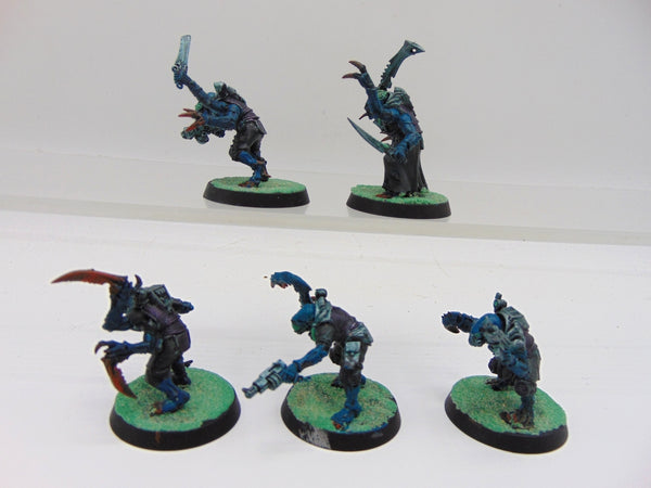 Acolyte Hybrids