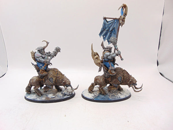 Mournfang Cavalry Pack