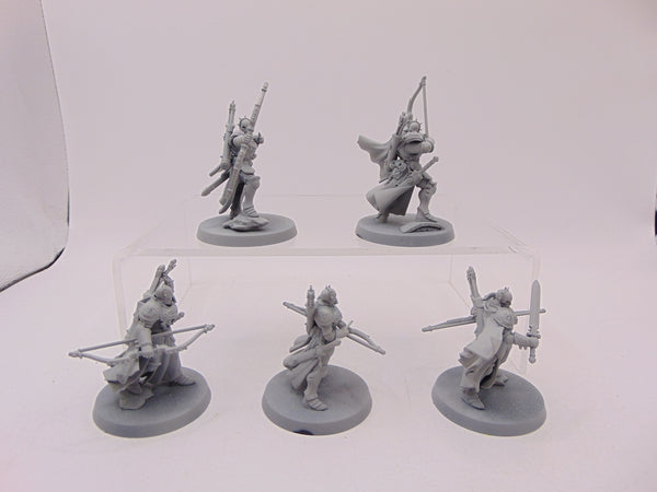 Vigilors