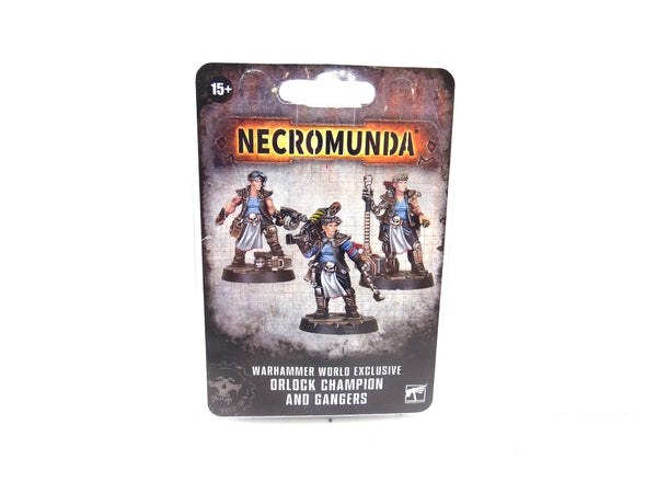 Warhammer World Orlock Champion and Gangers