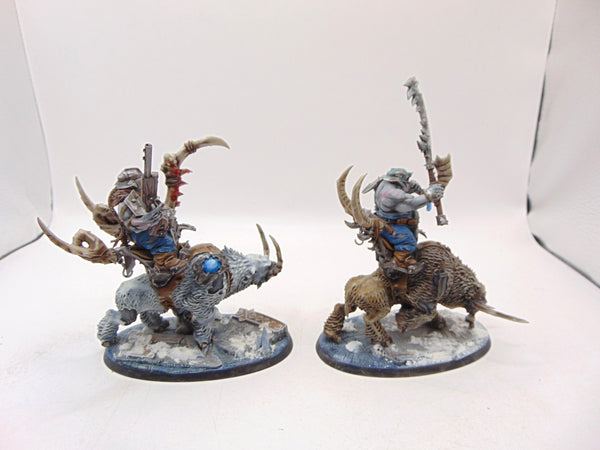 Mournfang Cavalry Pack