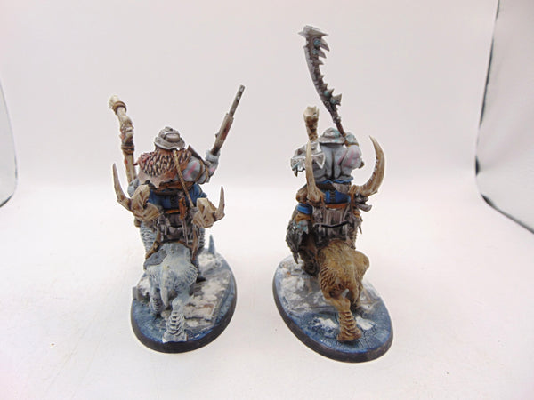 Mournfang Cavalry Pack
