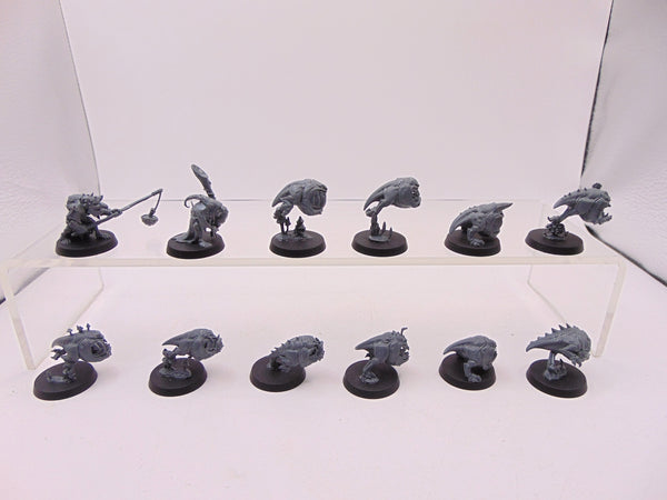 Squig Herd