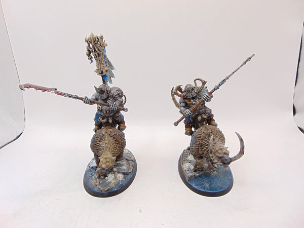 Mournfang Cavalry Pack