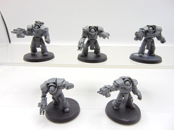 Cataphractii Terminator Squad