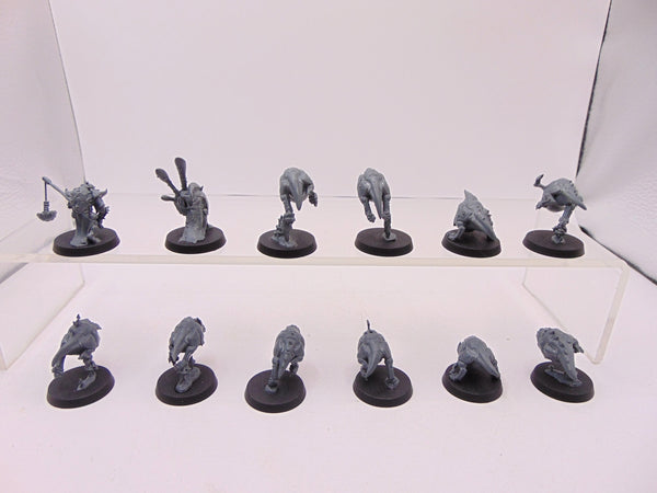 Squig Herd