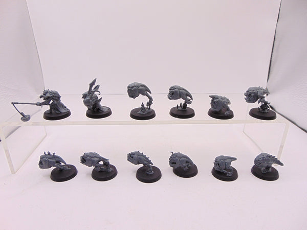 Squig Herd