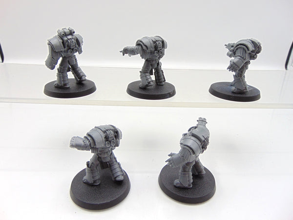 Cataphractii Terminator Squad