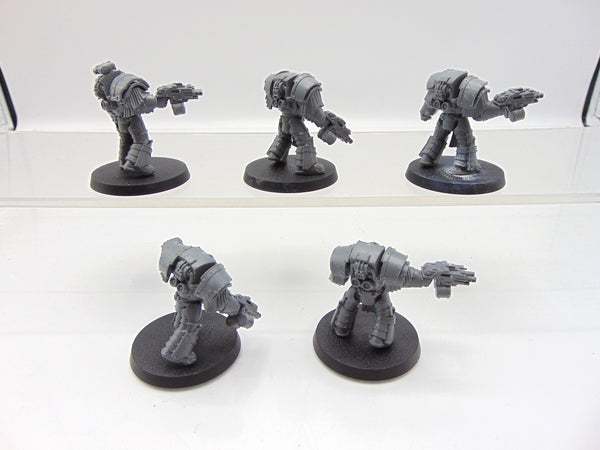 Cataphractii Terminator Squad