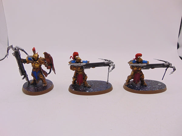 Vanguard Raptors