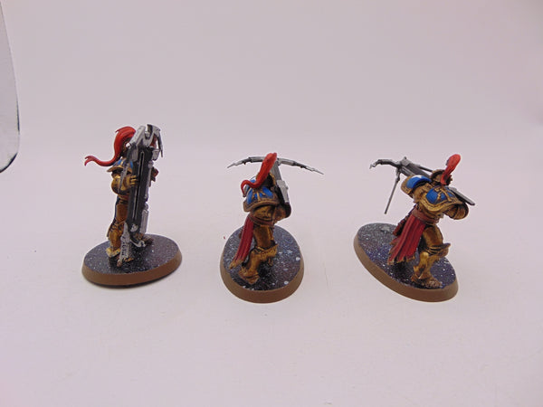Vanguard Raptors