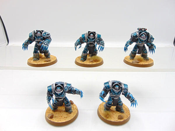 Cataphractii Terminator Squad
