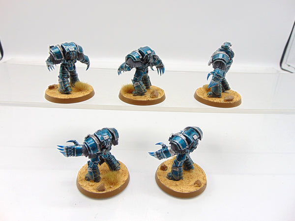 Cataphractii Terminator Squad