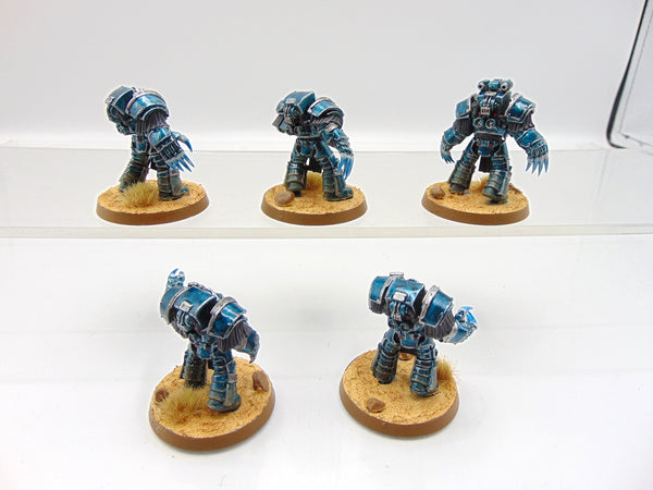 Cataphractii Terminator Squad