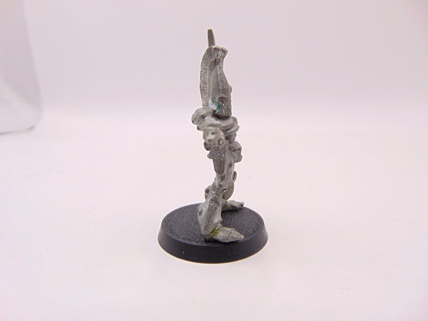 Lessei Moondance Eldar Guardian Captain