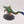 Carnosaur / Troglodon