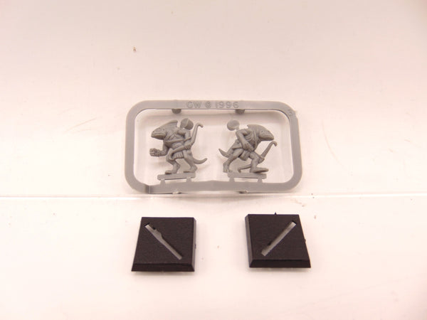Skink Archers / Skinks