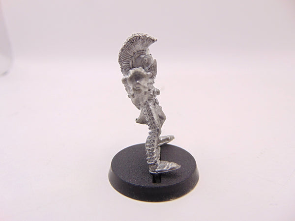 Harlequin Warlock / Trouper