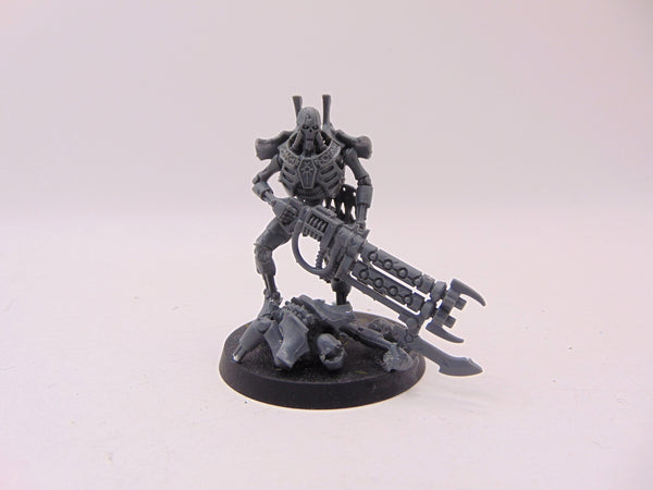 Royal Warden
