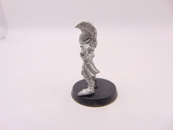 Harlequin Trouper
