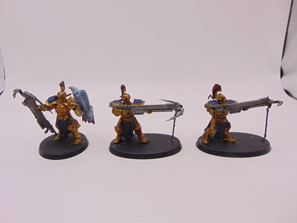 Vanguard Raptors