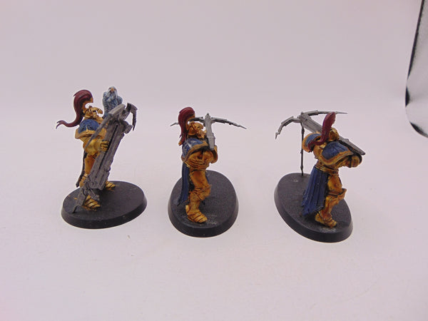 Vanguard Raptors
