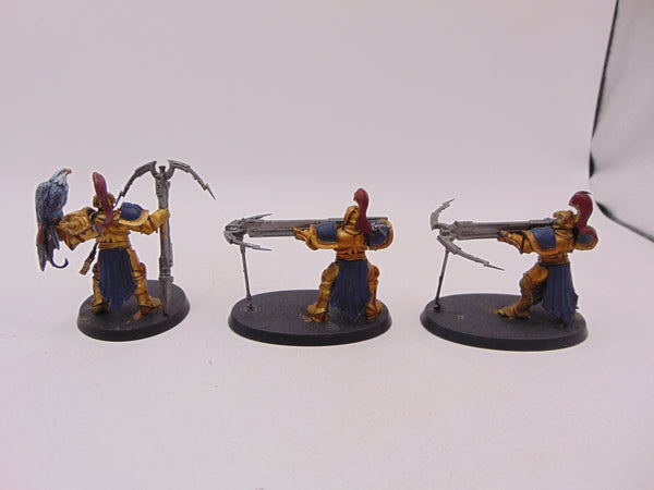 Vanguard Raptors