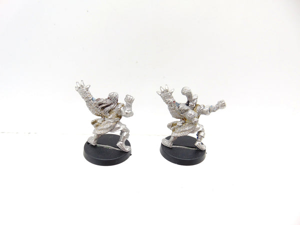 Lion Warriors