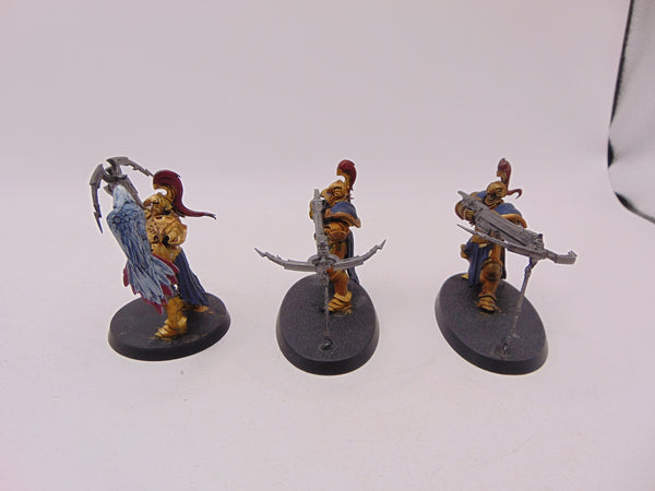 Vanguard Raptors