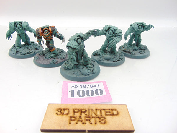 Cataphractii Terminator Squad