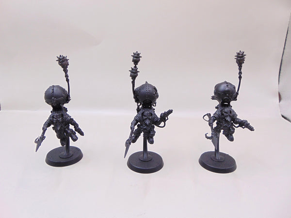 Skywardens