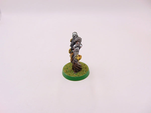 Haemonculus