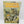 White Dwarf Issue 82